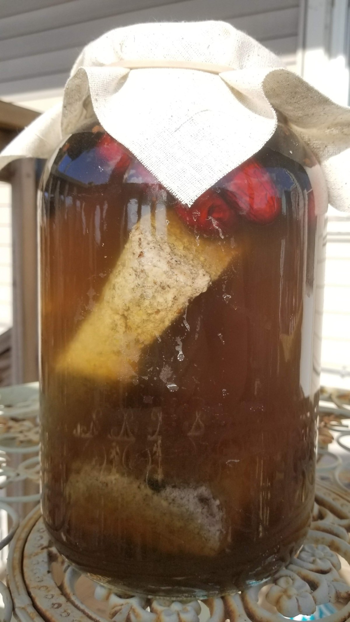 Homemade Soy Sauce